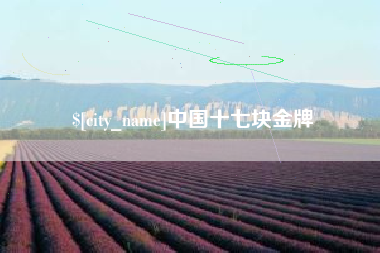 信阳中国十七块金牌