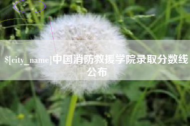 信阳中国消防救援学院录取分数线公布