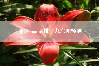 信阳排三九宫图预测