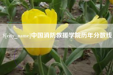 信阳中国消防救援学院历年分数线