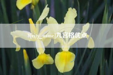信阳九宫格优点