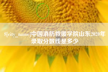 信阳中国消防救援学院山东2020年录取分数线是多少