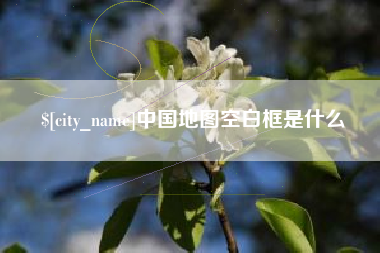 信阳中国地图空白框是什么