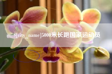信阳5000米长跑国家运动员