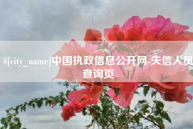 信阳中国执政信息公开网-失信人员查询页