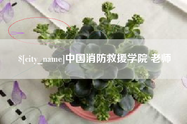 信阳中国消防救援学院 老师