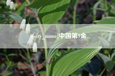 信阳中国第9金