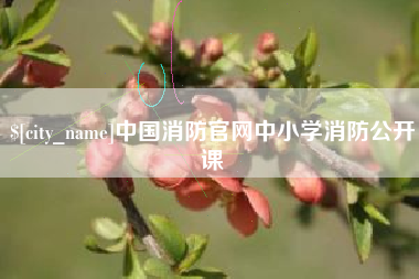 信阳中国消防官网中小学消防公开课