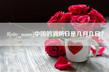 信阳中国的消防日是几月几日？