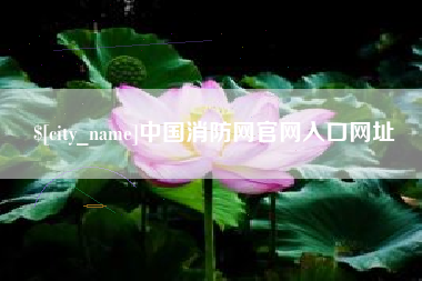 信阳中国消防网官网入口网址