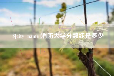 信阳消防大学分数线是多少