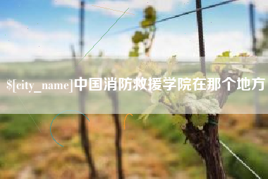 信阳中国消防救援学院在那个地方