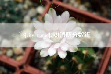 信阳2021消防分数线