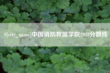 信阳中国消防救援学院2018分数线