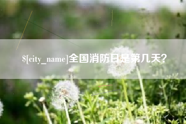 信阳全国消防日是第几天？