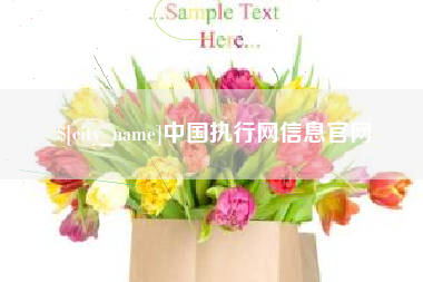 信阳中国执行网信息官网