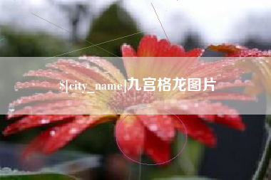 信阳九宫格龙图片