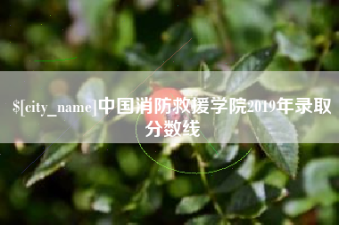 信阳中国消防救援学院2019年录取分数线