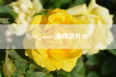 信阳金牌图片2021