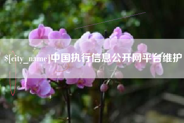 信阳中国执行信息公开网平台维护