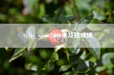 信阳5000米及格成绩