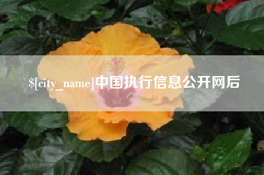 信阳中国执行信息公开网后
