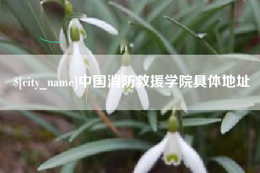 信阳中国消防救援学院具体地址