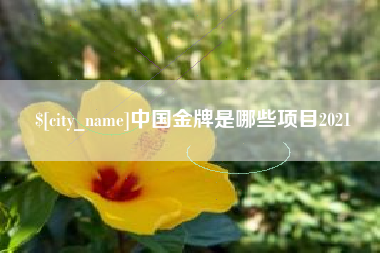 信阳中国金牌是哪些项目2021