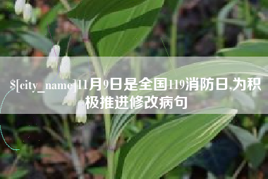 信阳11月9日是全国119消防日,为积极推进修改病句