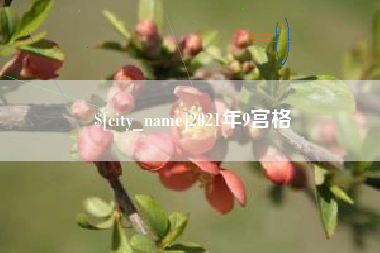 信阳2021年9宫格