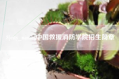 信阳中国救援消防学院招生简章