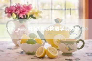 信阳中国消防救援学院分数2020