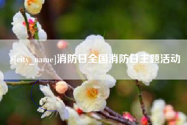 信阳消防日全国消防日主题活动