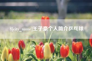 信阳王子豪个人简介乒乓球