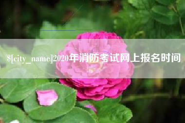 信阳2020年消防考试网上报名时间