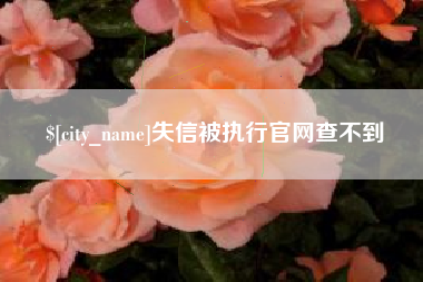 信阳失信被执行官网查不到