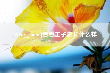 信阳看看王子豪长什么样