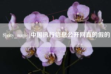 信阳中国执行信息公开网真的假的
