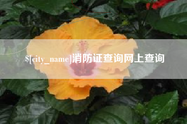 信阳消防证查询网上查询