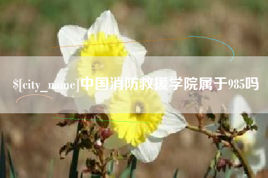 信阳中国消防救援学院属于985吗