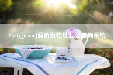 信阳消防资格证怎么查询系统