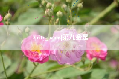 信阳第九金是