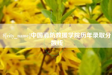 信阳中国消防救援学院历年录取分数线
