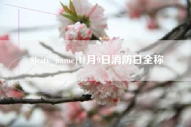 信阳11月9日消防日全称