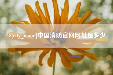 信阳中国消防官网网址是多少