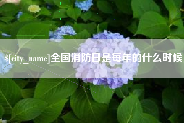信阳全国消防日是每年的什么时候