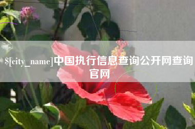 信阳中国执行信息查询公开网查询官网