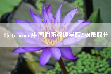 信阳中国消防救援学院2020录取分
