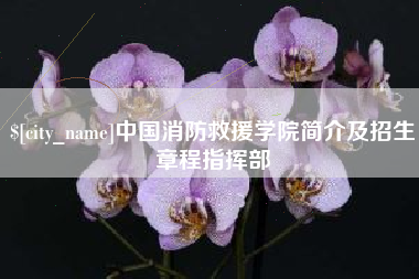 信阳中国消防救援学院简介及招生章程指挥部