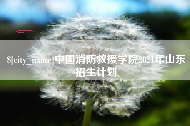 信阳中国消防救援学院2021年山东招生计划
